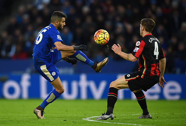 这篇纪念文 这篇纪念文