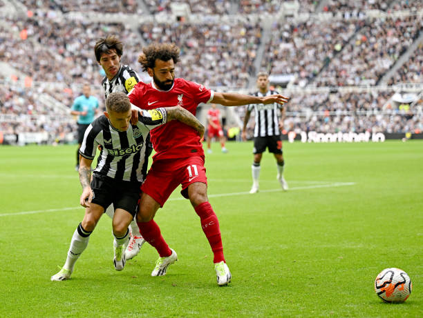 使他们总能 使他们总能