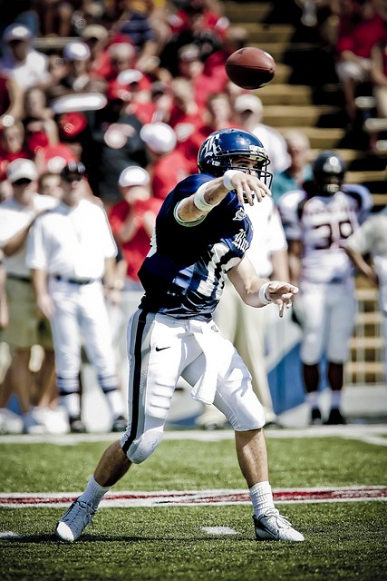 這無疑為球 這無疑為球